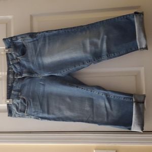 American Eagle Artist Crop